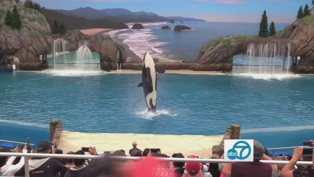 Experience life underwater at SeaWorld
