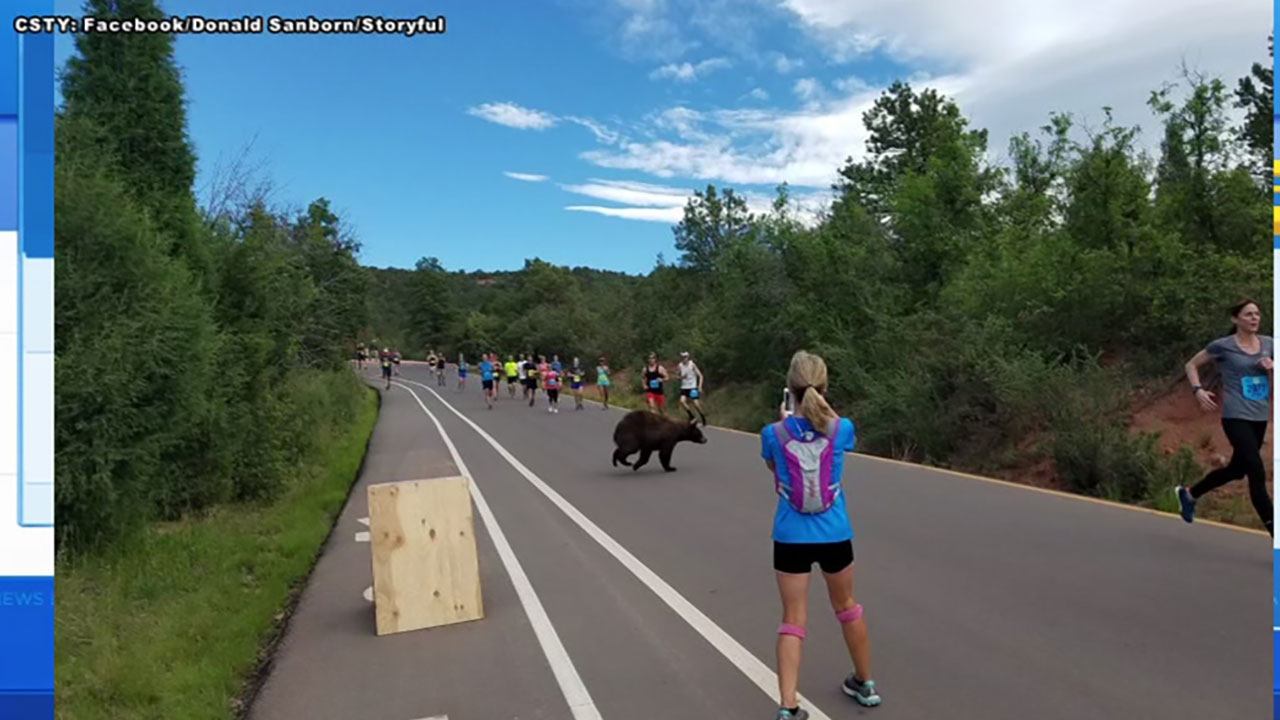 061217-ewn-bear-co-race-vid