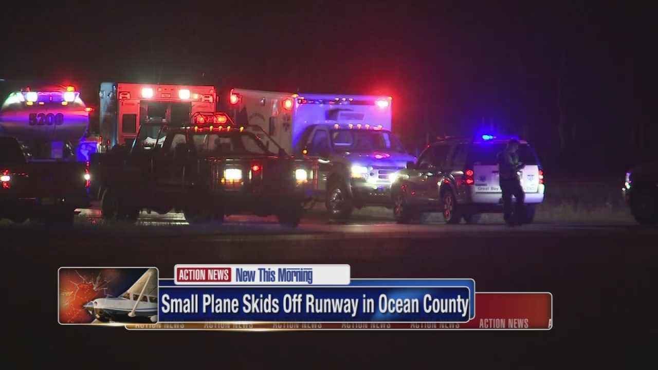 Plane skids off runway