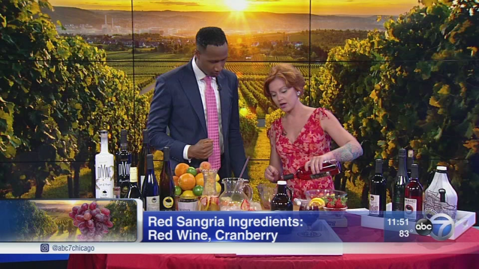 Lake Michigan Shore Wine Festival to feature drinks, beach views ABC7