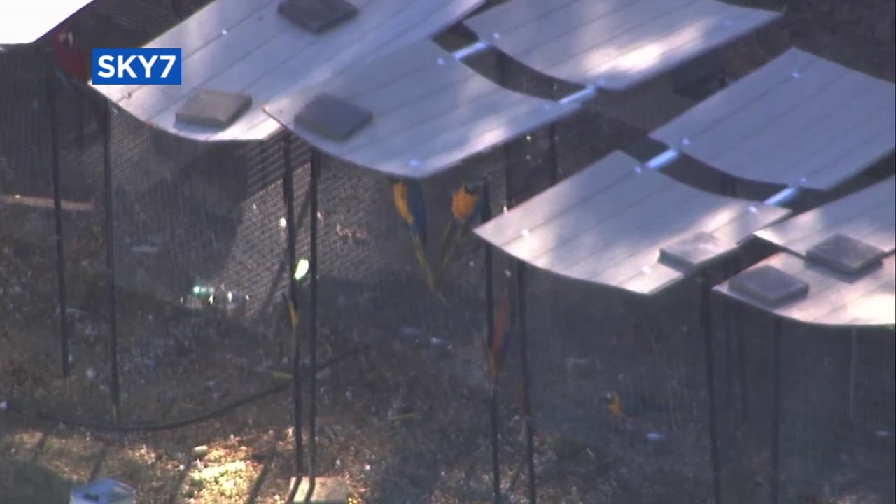 Noisy bird mill in Castro Valley becomes nuisance for residents