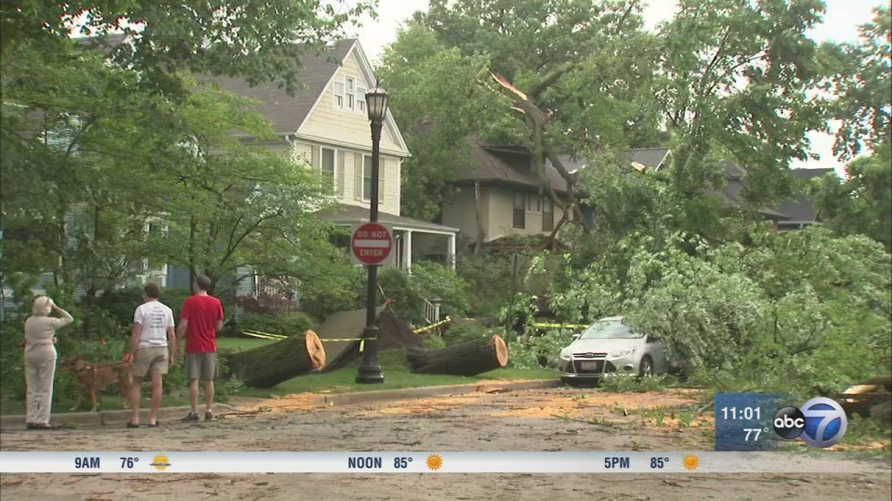 Chicago Weather: Severe storms down trees, flood streets