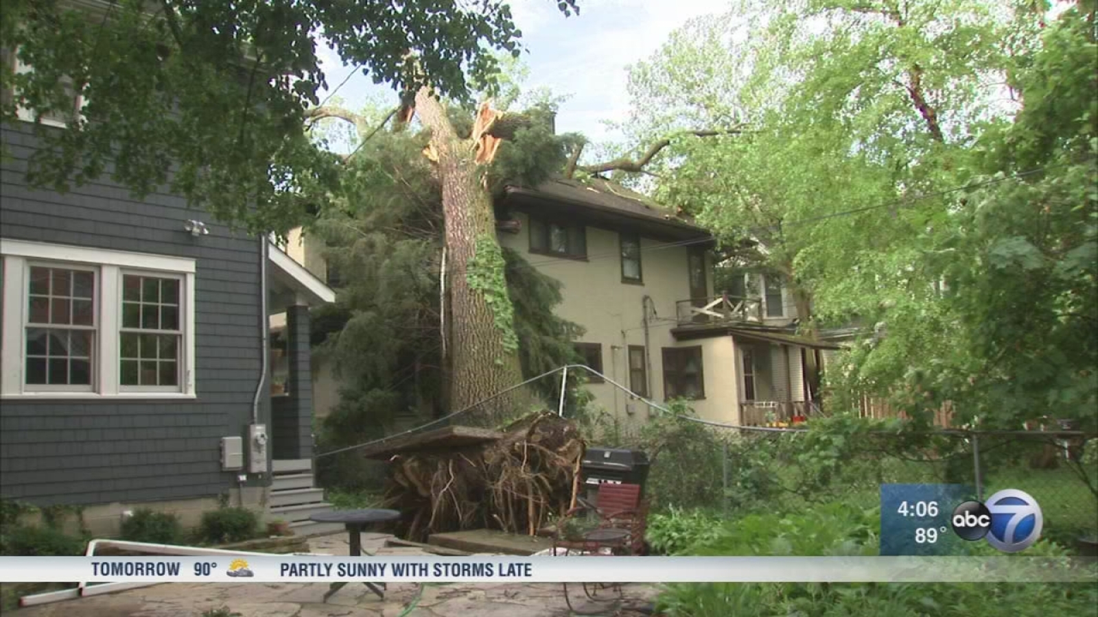 Chicago Weather Storm uproots large trees in Evanston, Wilmette ABC7