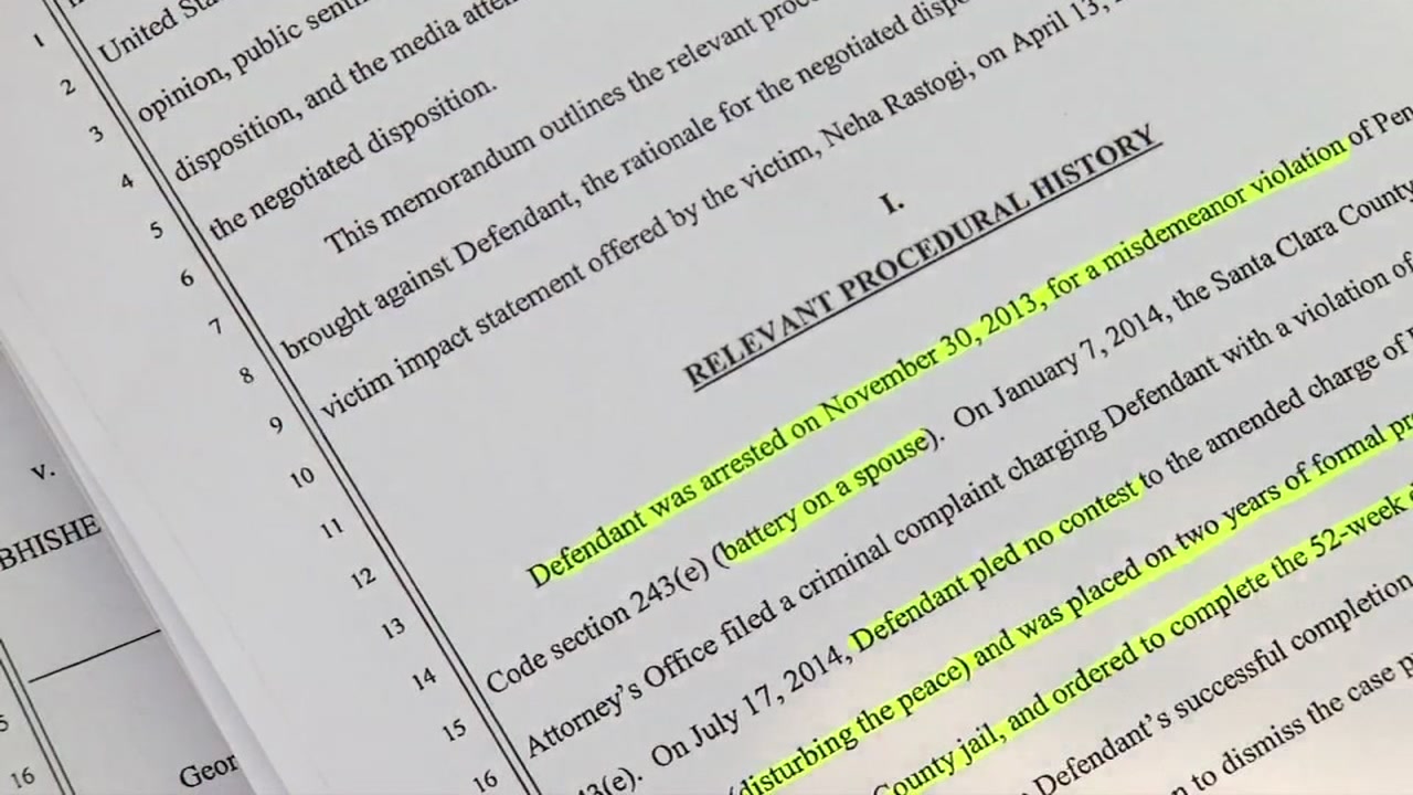 Outcry over Silicon Valley CEO's domestic violence plea deal
