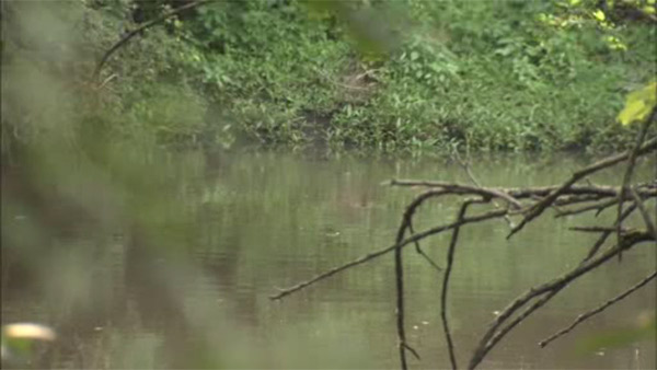 Sewer pump malfunction causes problems for South Jersey waterway