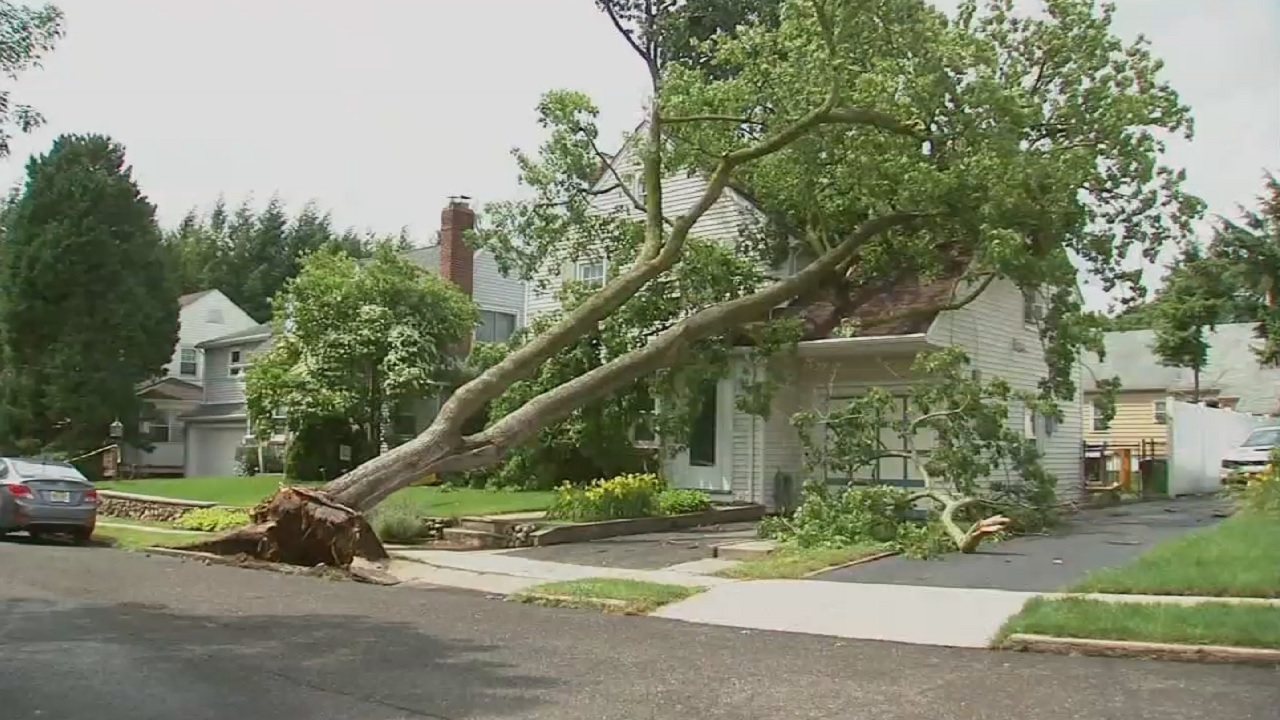 Tree comes crashing through man's bedroom in New Jersey