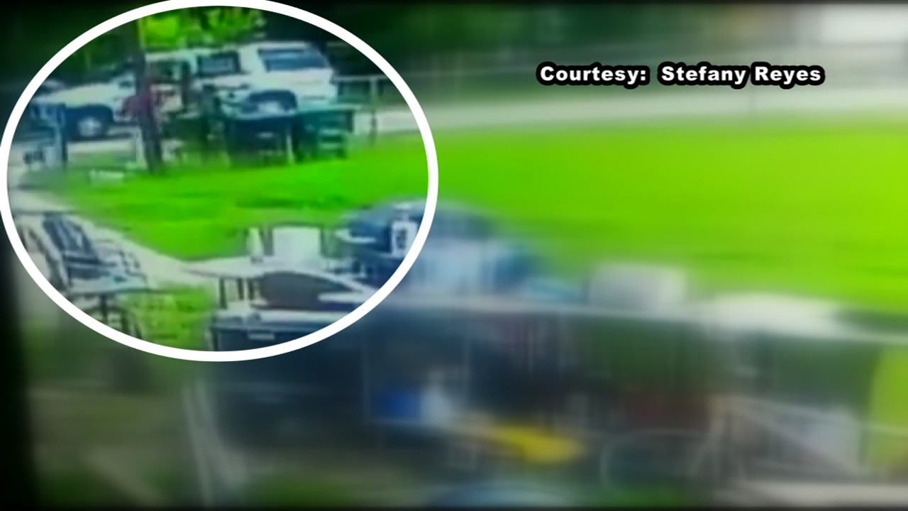 Man caught on camera snatches dog from backyard in North Houston