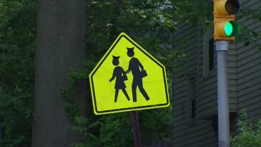 Women's rights stickers with 'cat ears' vandalism, New Jersey town says