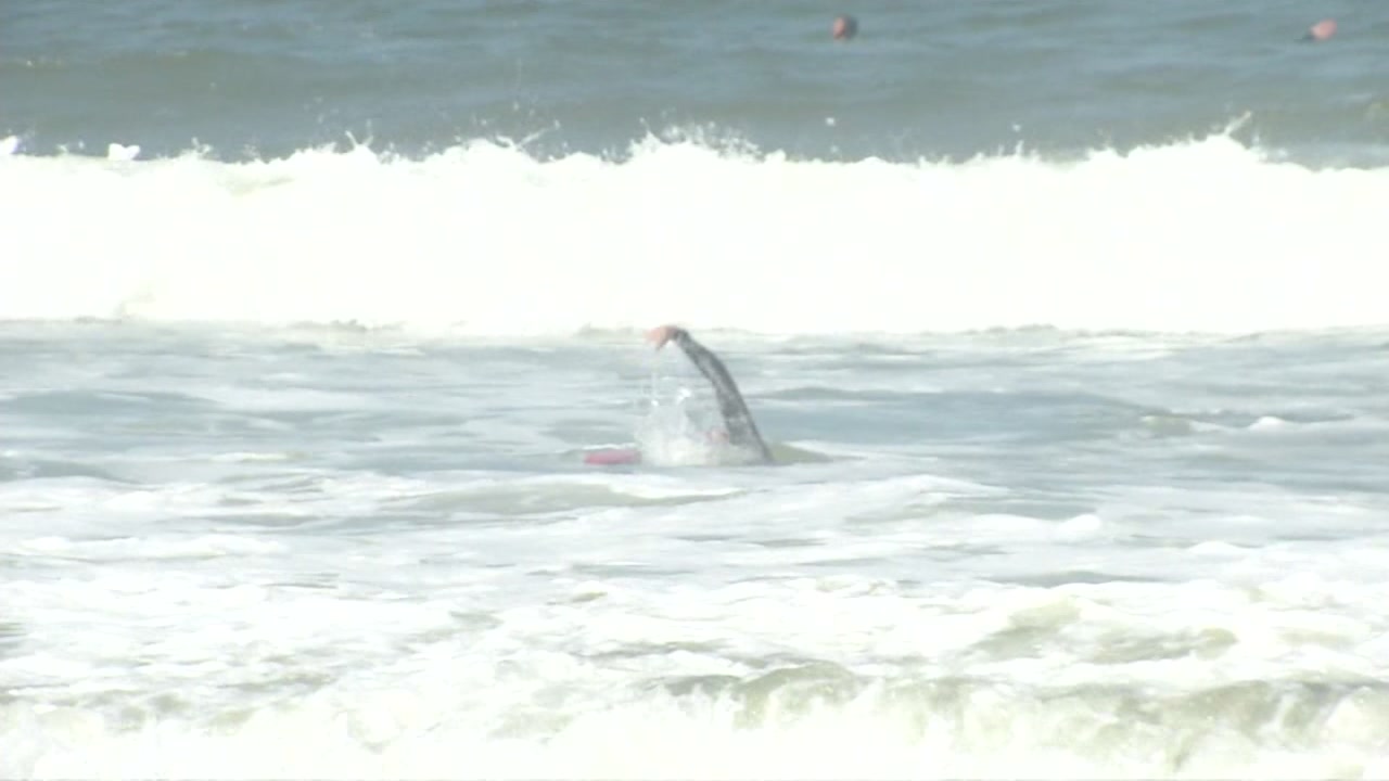 Officials demonstrate water rescue at San Francisco's Ocean Beach - ABC7 San  Francisco, image size:1280x720