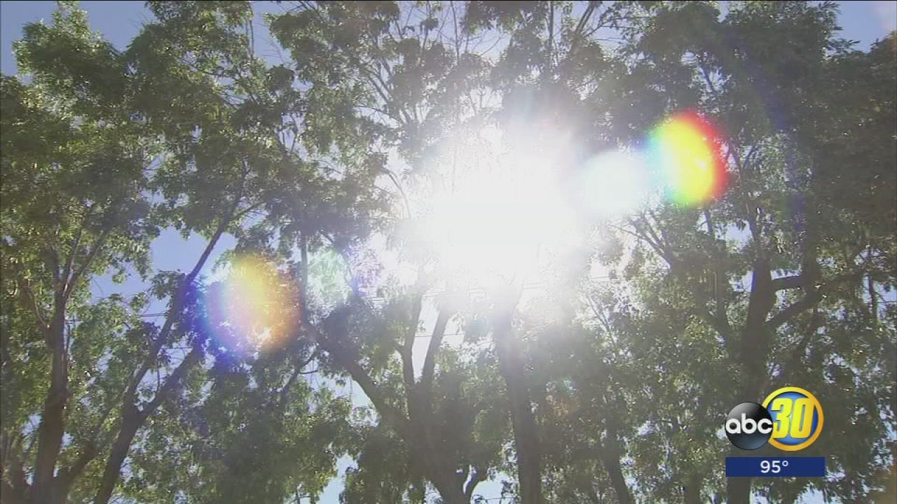 Heat wave causes some popular Valley events to shut down