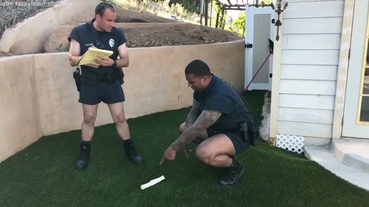 Funny 'Cop Rompers' infomercial goes viral