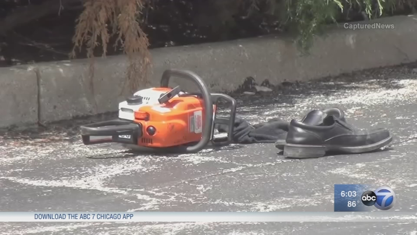 911 calls released in Arlington Heights chainsaw attack ABC7 Chicago