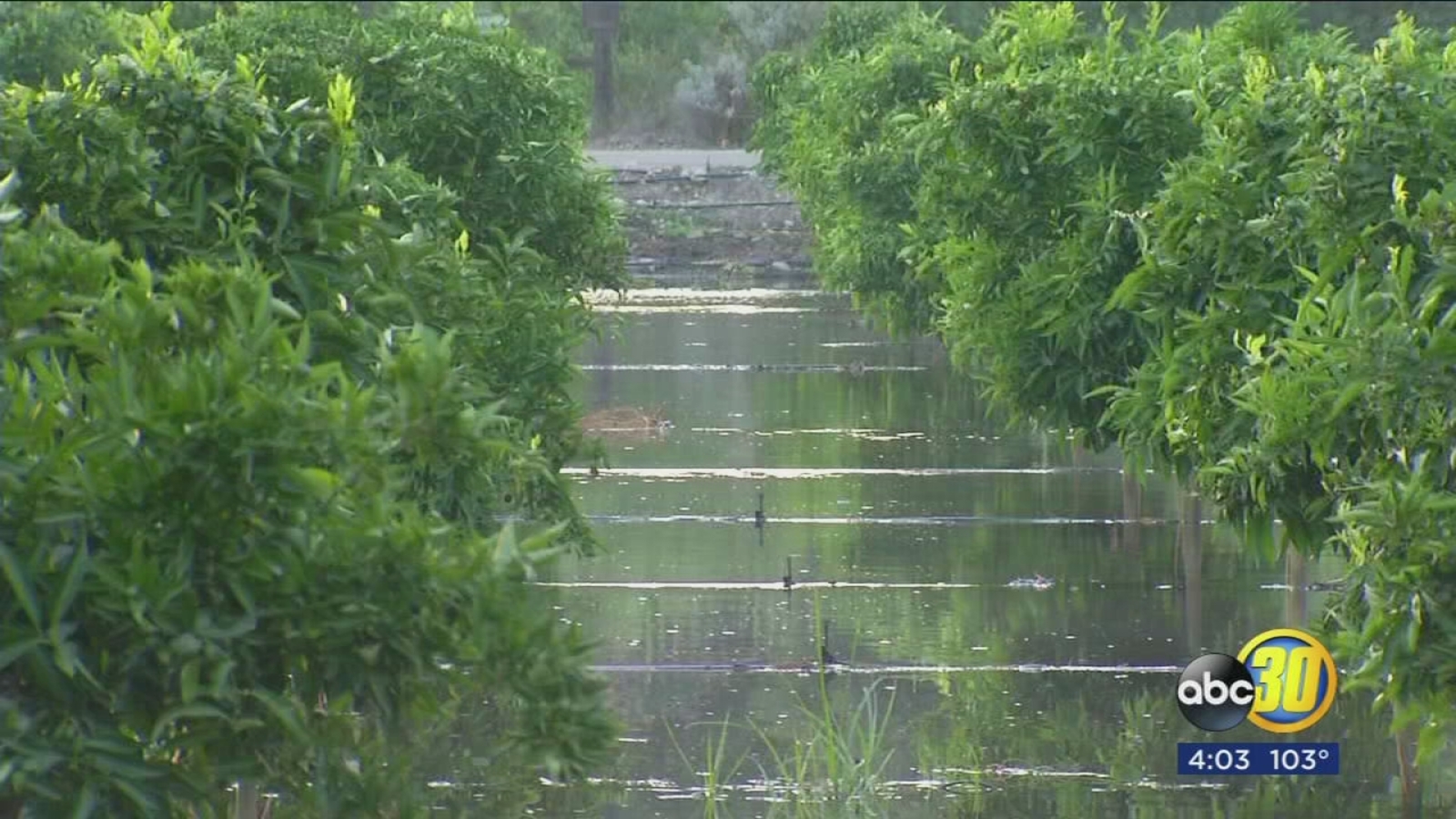 Local farms are working hard to keep their operations afloat as King