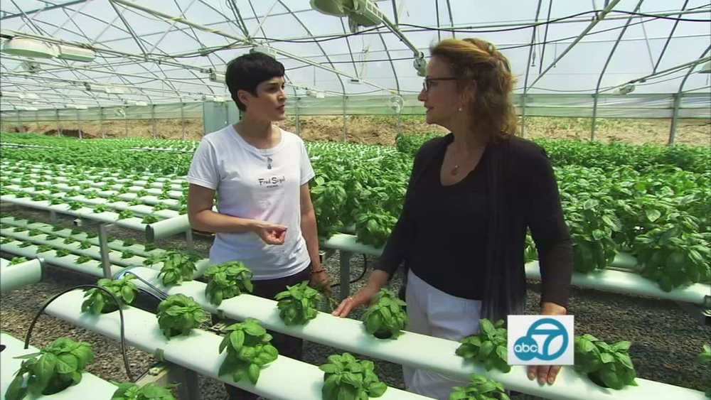 Archi's Acres in OC is organic, veteran-owned farm