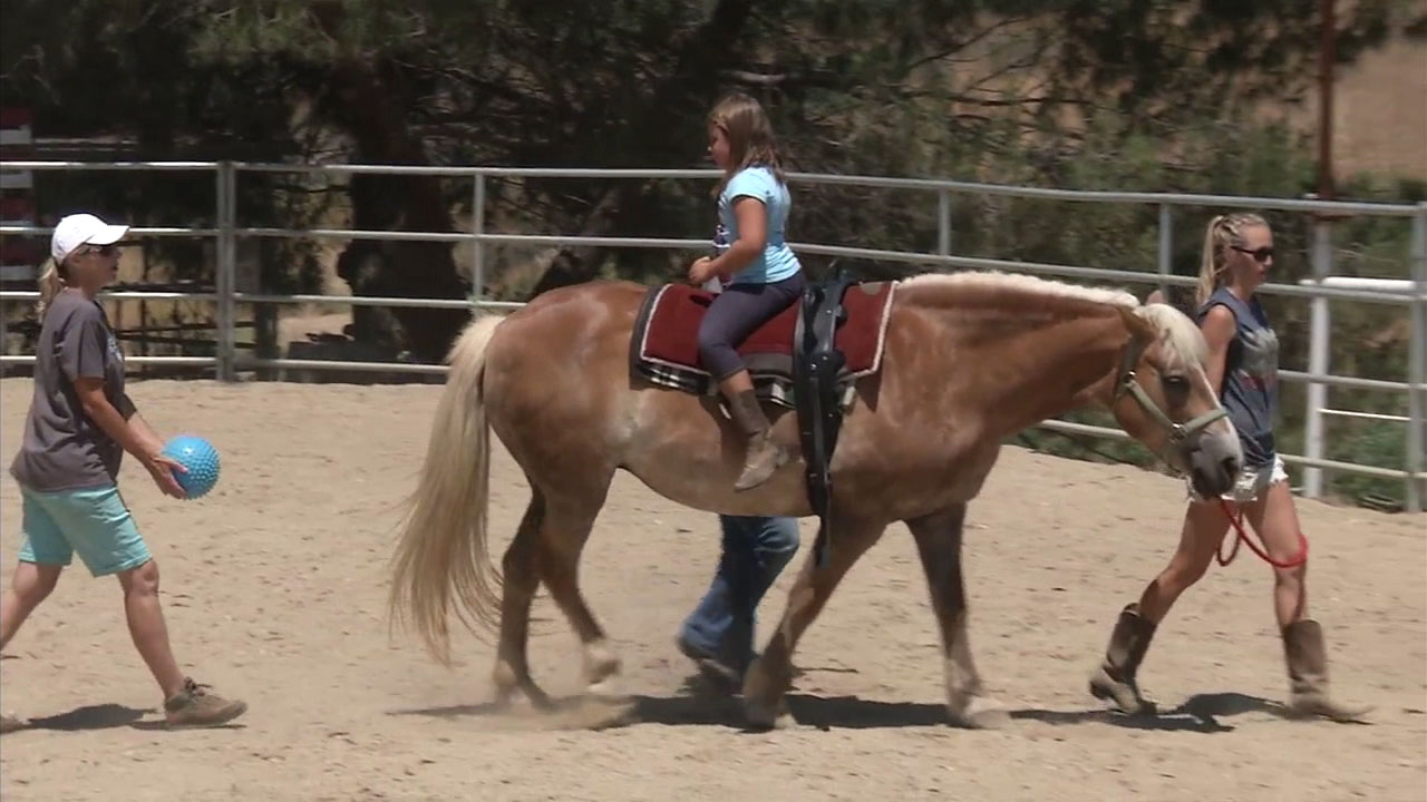 Retired officer helps catch Fullerton horse thieves