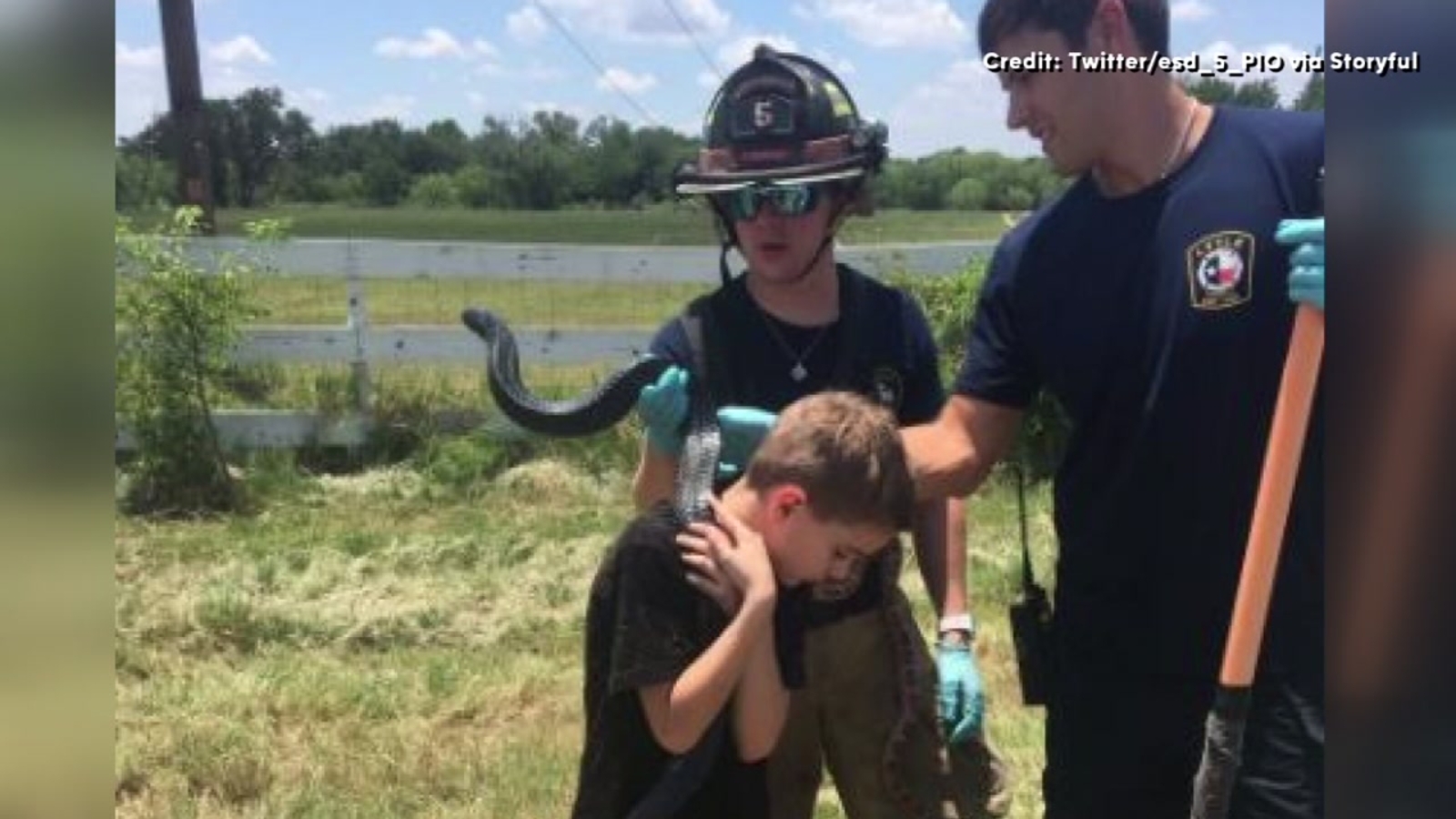 Venomous snakes escape after rollover crash in Bexar County ABC13 Houston