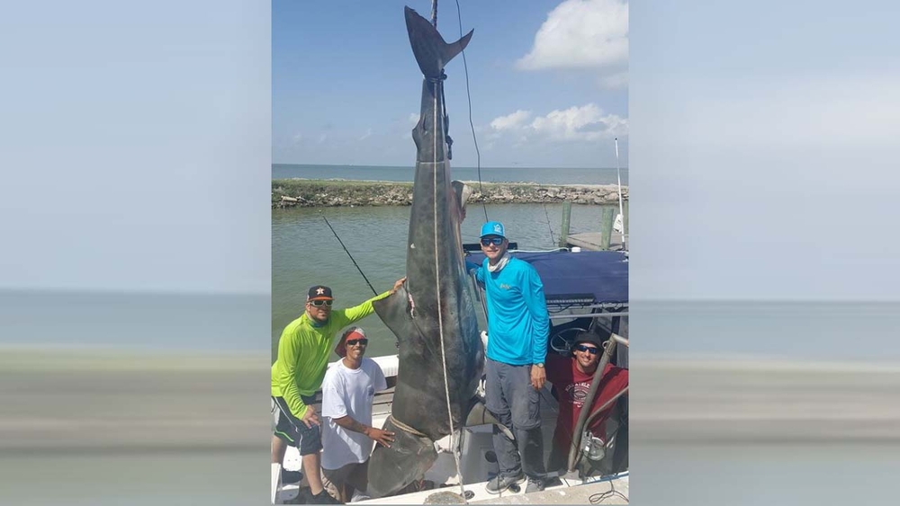 Man reels in tiger shark in Texas City