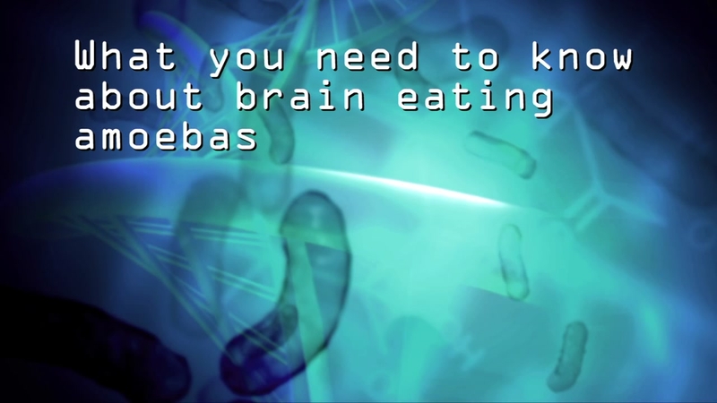 Brain-eating amoebas: 8 things you need to know - ABC13 Houston