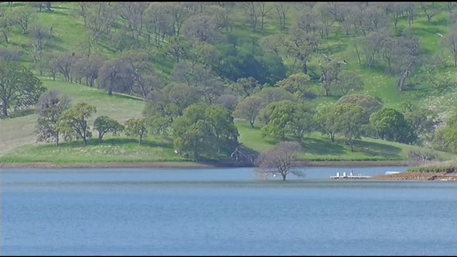 Public hearings scheduled on future of East Bay's Los Vaqueros