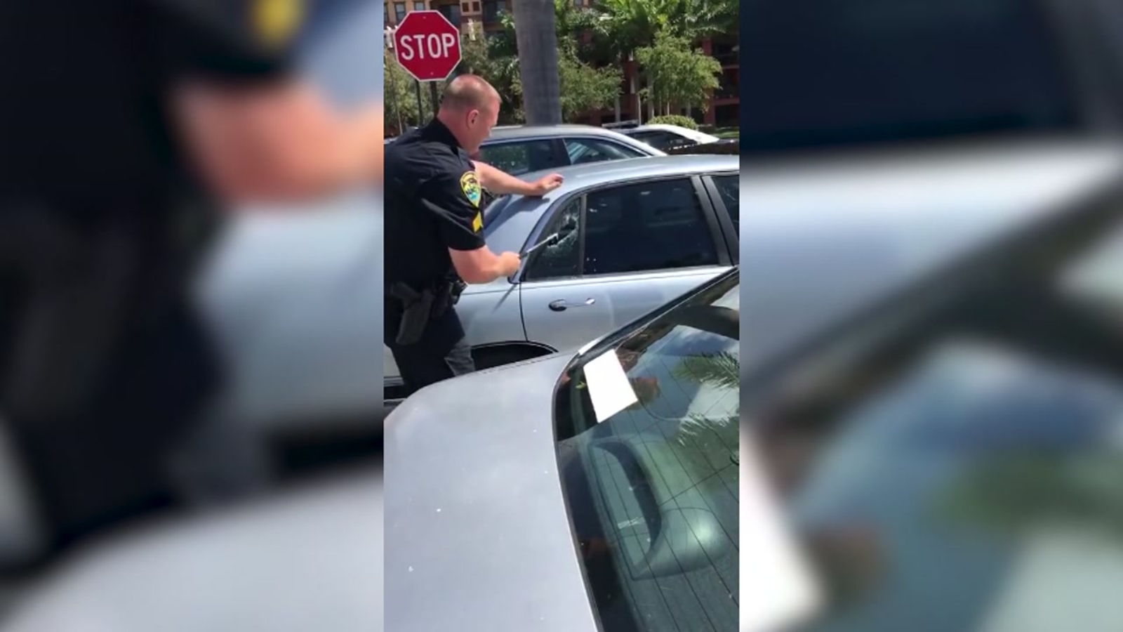 Florida police smash car window to rescue dog in hot car - ABC13 Houston
