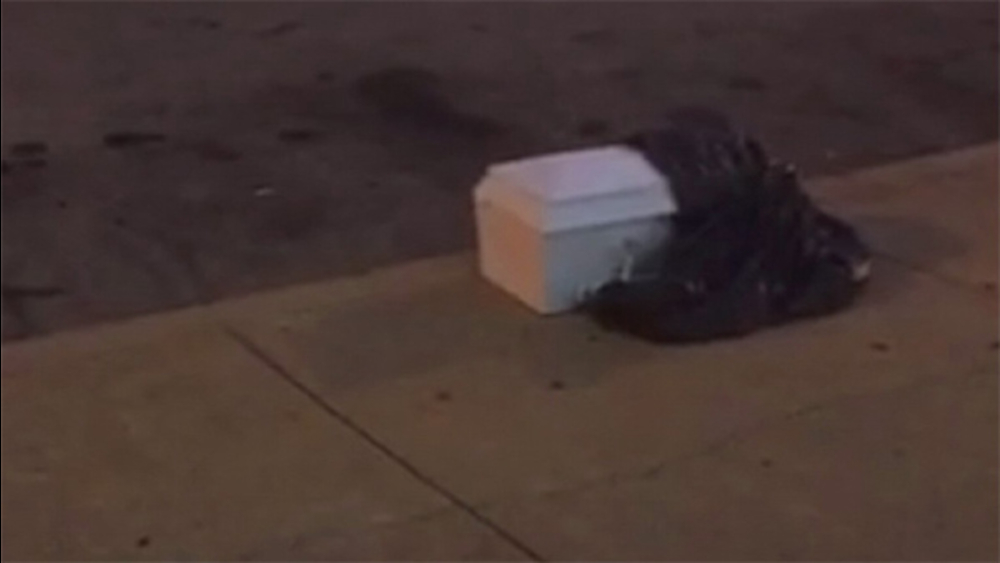 Philly police: Casket with infant organs came from NJ