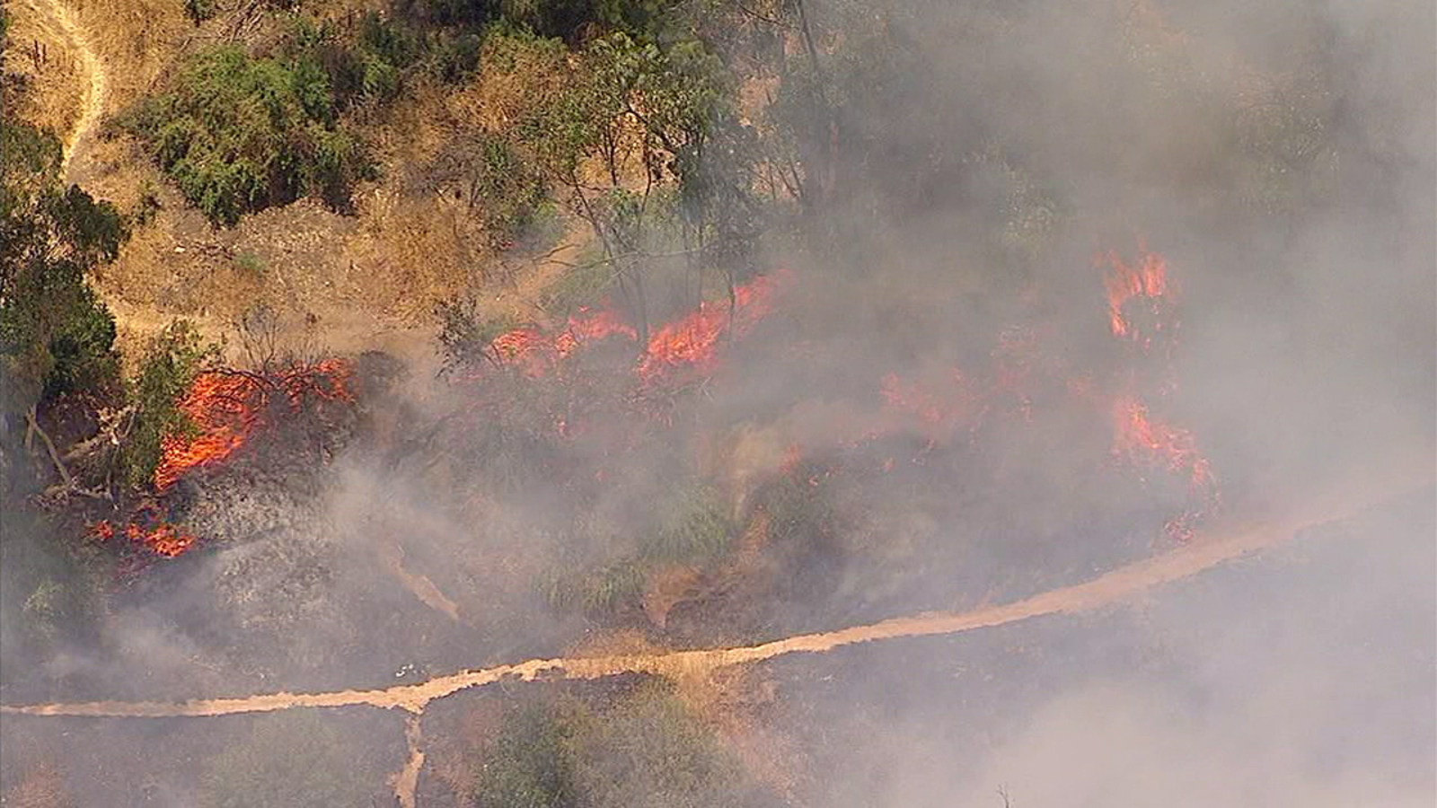 Elysian Park vegetation fire More than 100 firefighters knock down