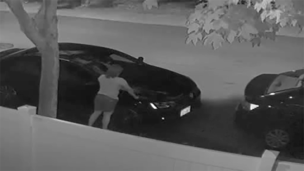 Woman accused of vandalizing cars