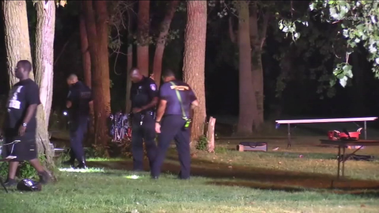 Boy, 6, suffers graze wound to head in Markham shooting ABC7 Chicago