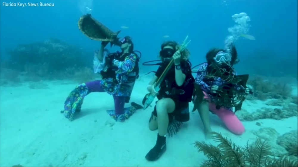 Underwater music festival