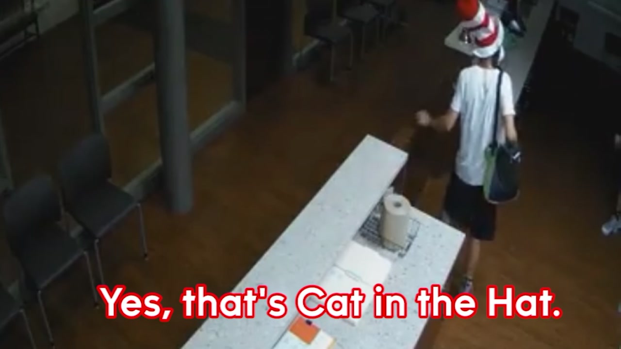 Cat in the Hat accused of breaking into La Porte middle school