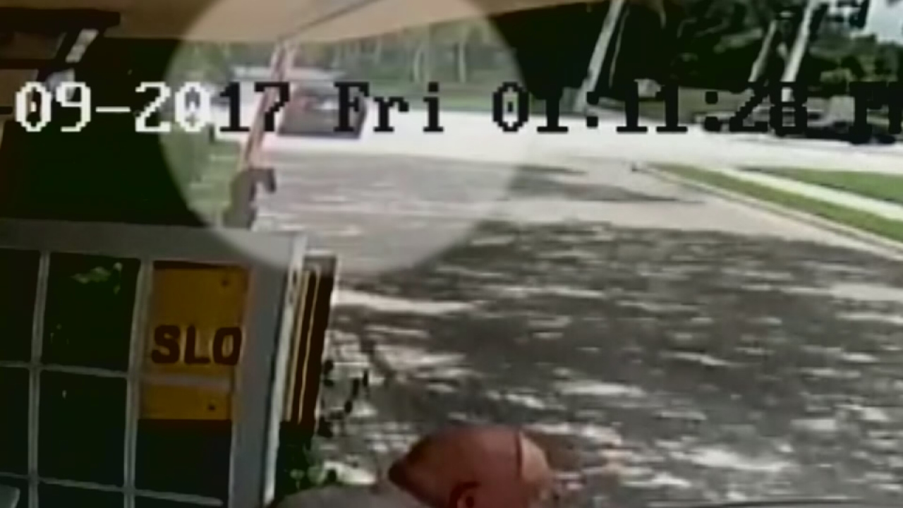 Video shows fatal crash involving Venus Williams