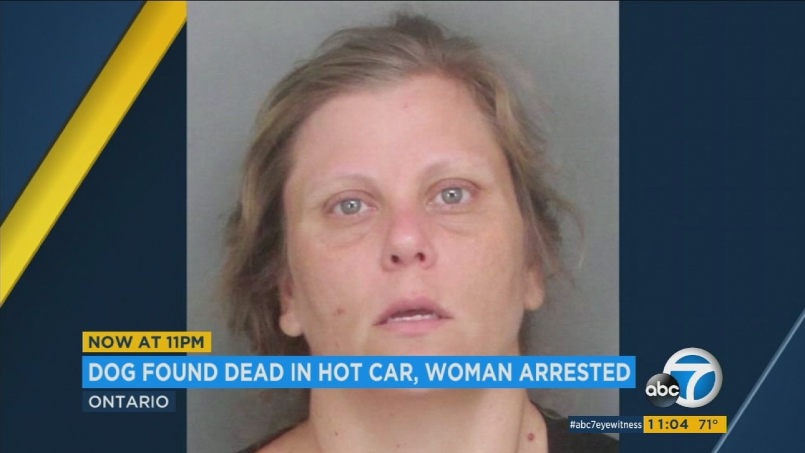 Ontario woman arrested after dog dies in hot car - ABC7 Los Angeles