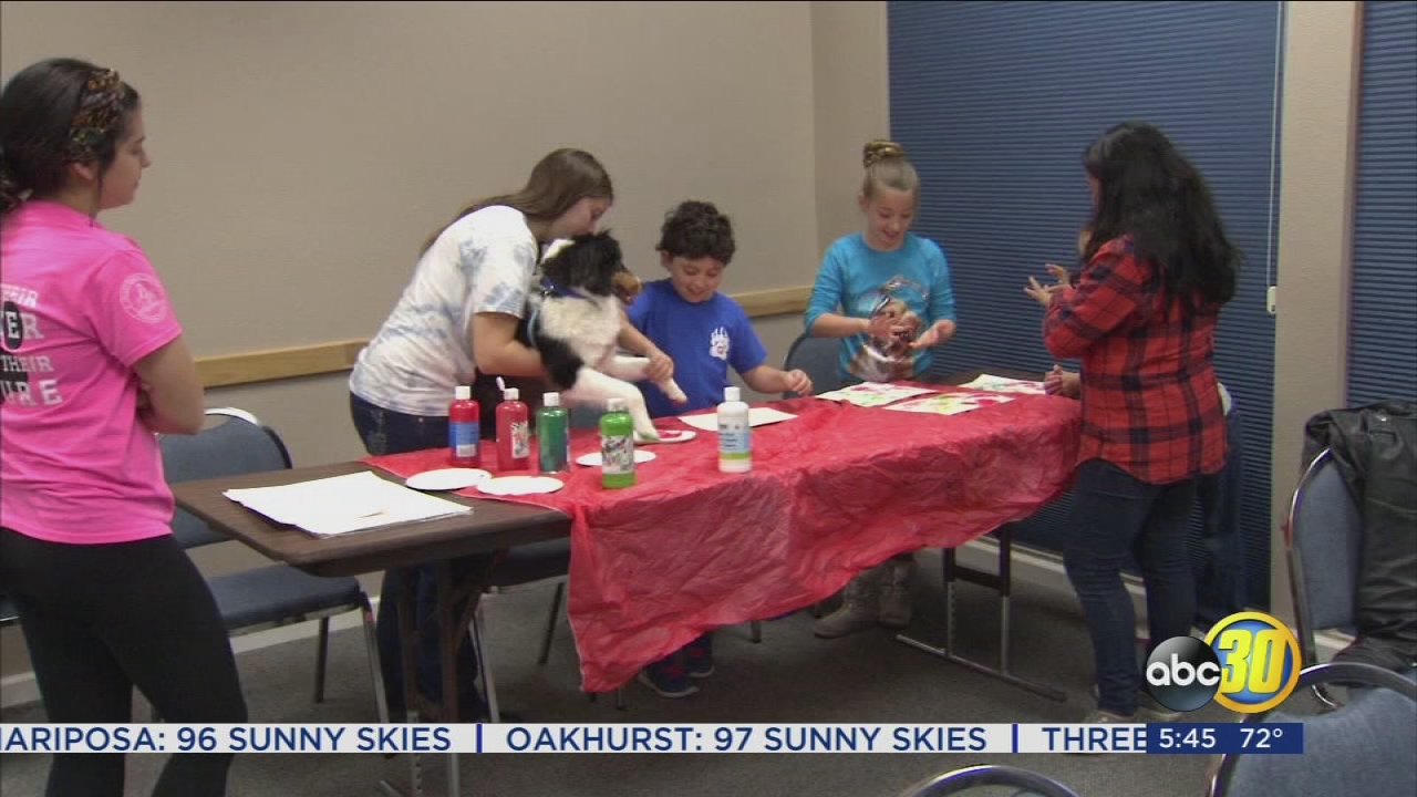 Summer camp for young animal lovers