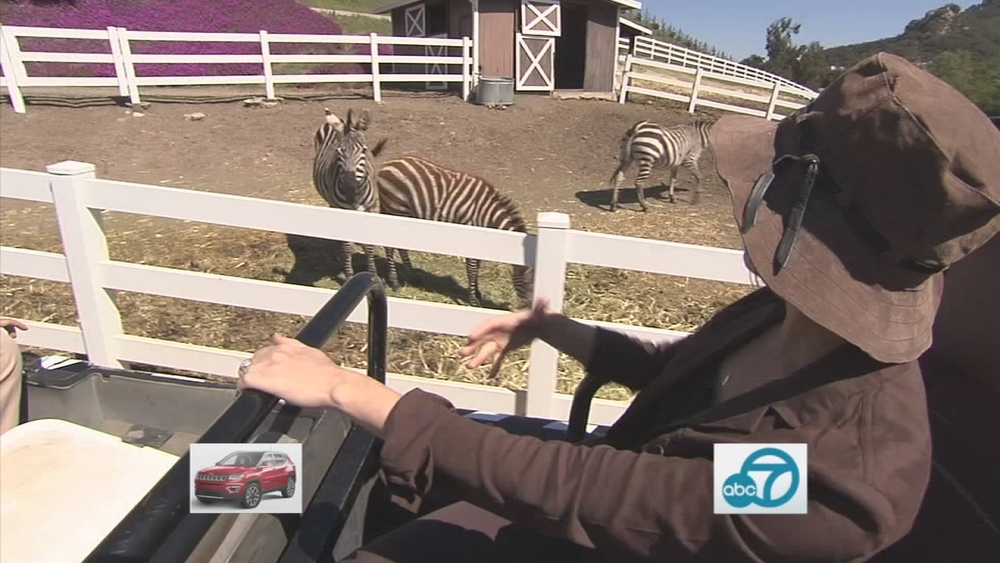 Malibu Wine Safari