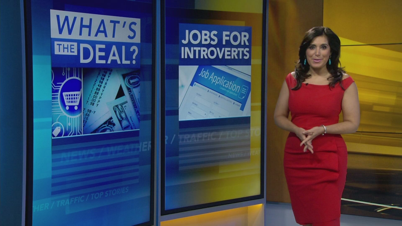 What's the Deal: Job ideas for introverts
