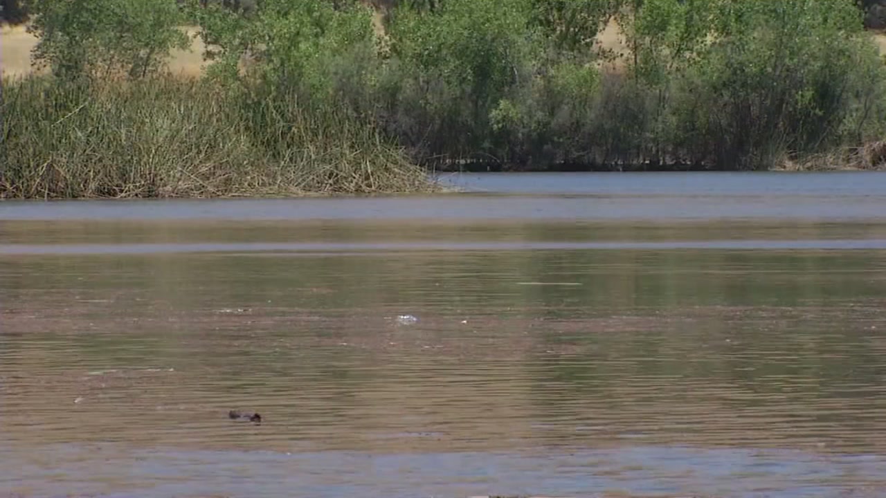 Friends stunned after SJ man drowns saving his son
