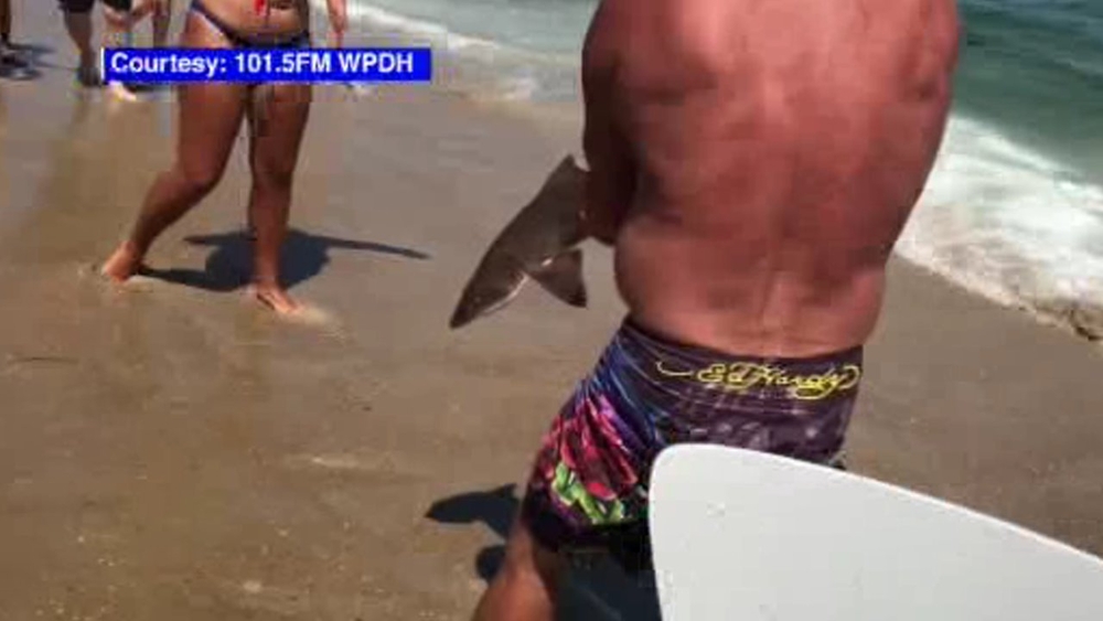 Man uses his bare hands to save shark's life on Jersey Shore