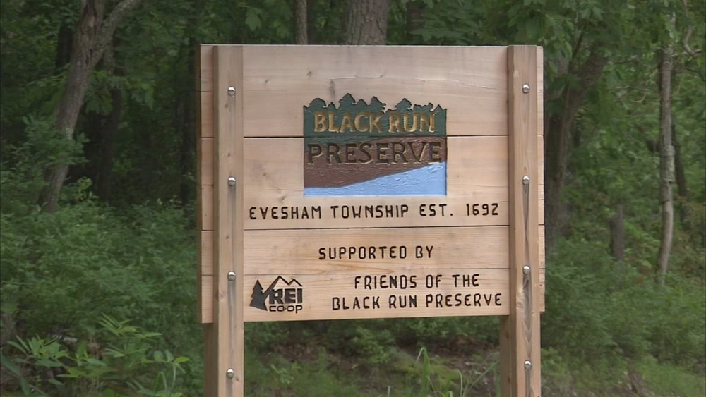 Art of Aging: Black Run Preserve