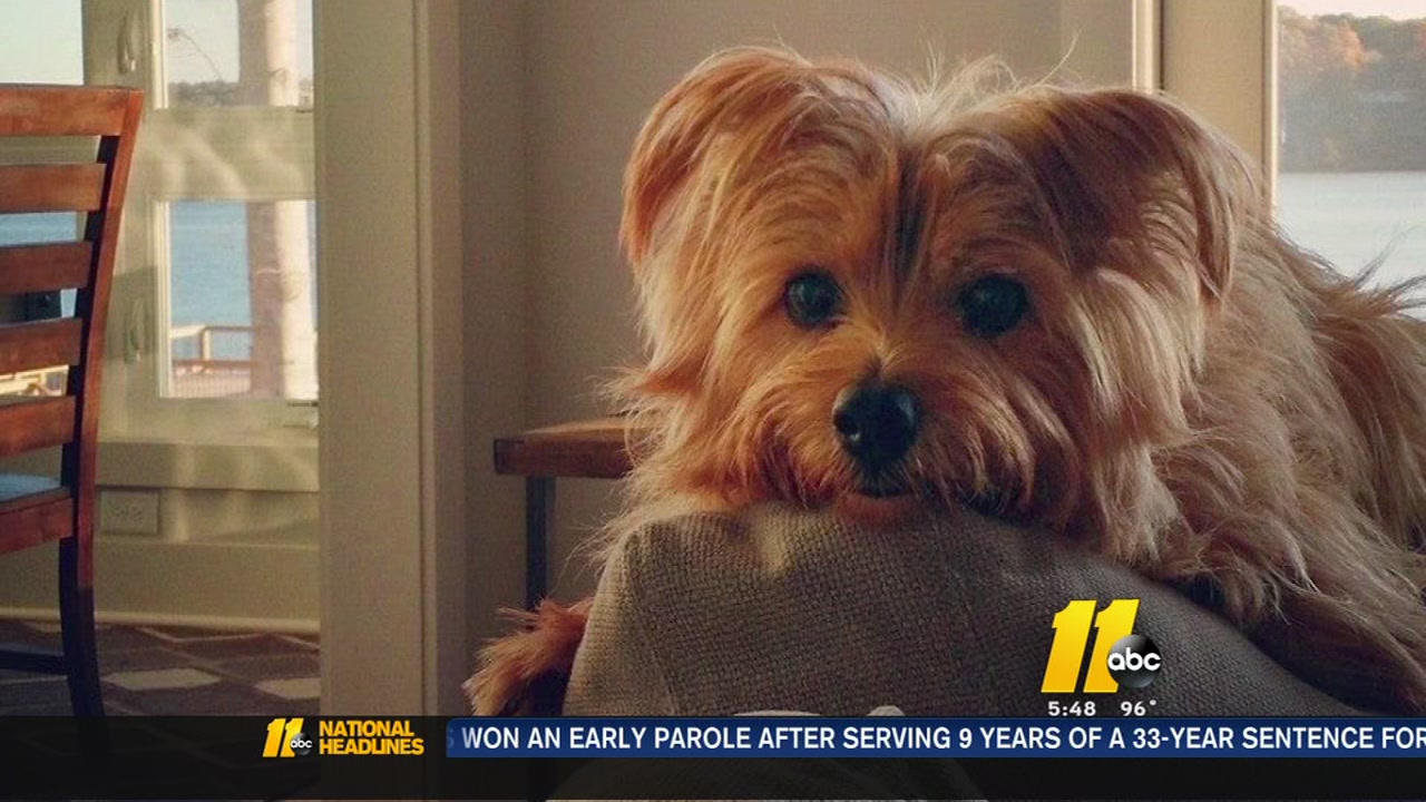 I-Team: Kennel wrongdoing in pup's death at doggie daycare