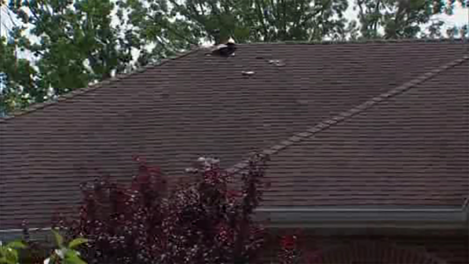 Lightning sparks Lakewood house fire as wild weather hits New Jersey