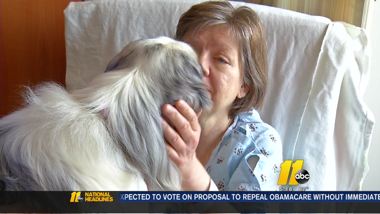 Therapy dogs bring comfort to hospital patients