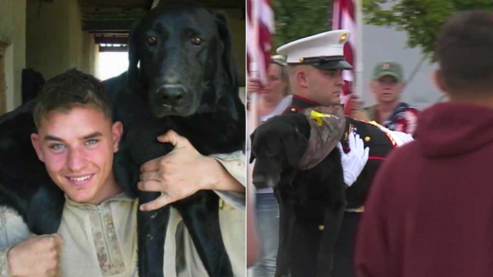 K-9 veteran war hero takes one last emotional ride