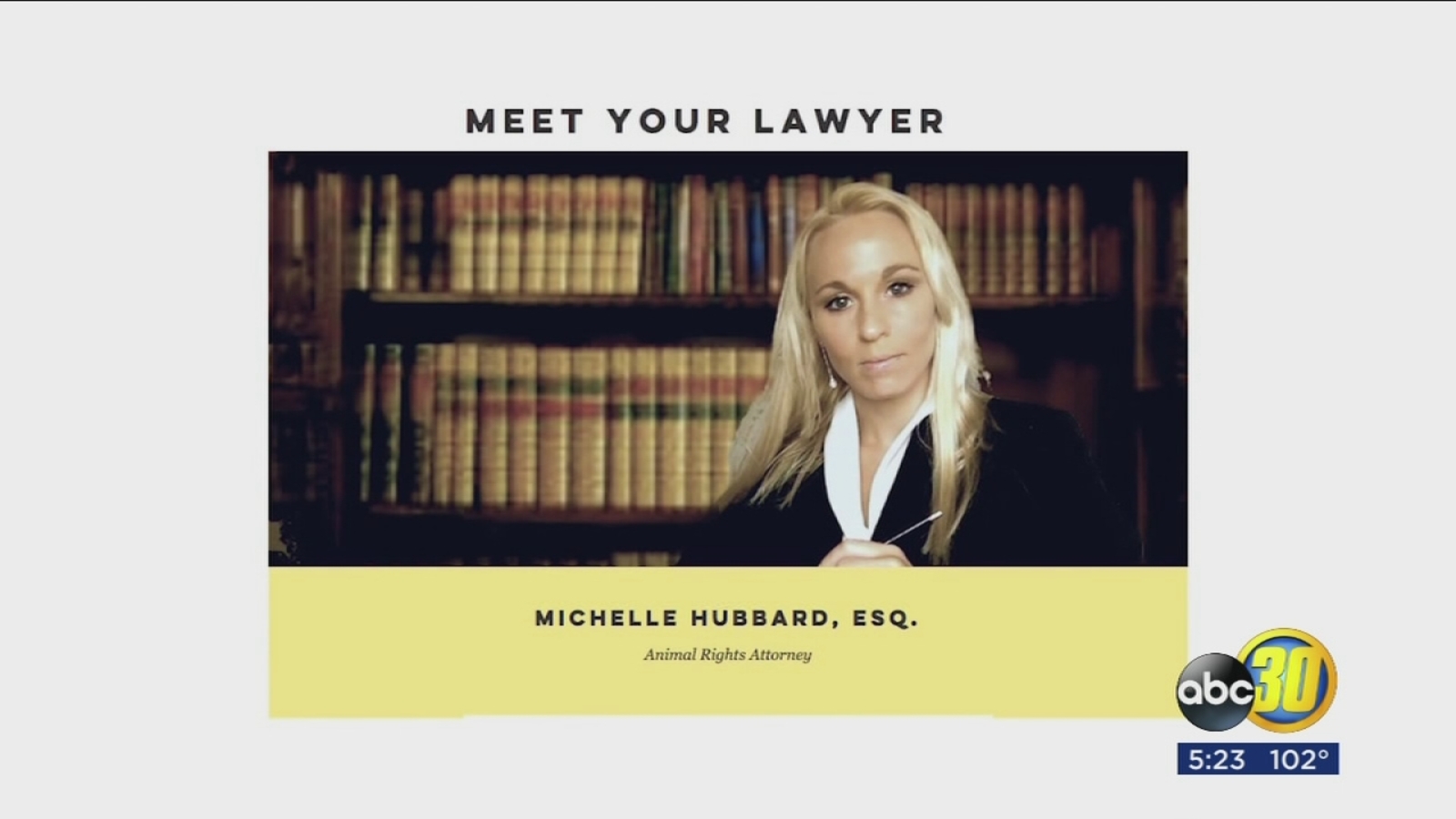 Animal Attorney's ABC30 Fresno