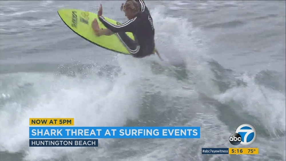 US Open of Surfing prepares for possible shark sightings