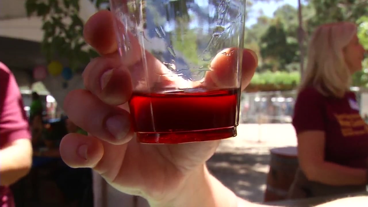 39th annual Gilroy Garlic Festival kicks off three days of food, fun