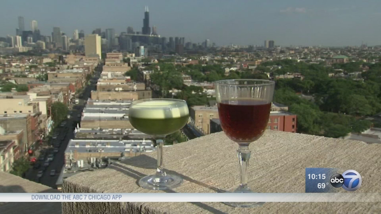 Hungry Hound: Chicago hotel rooftops