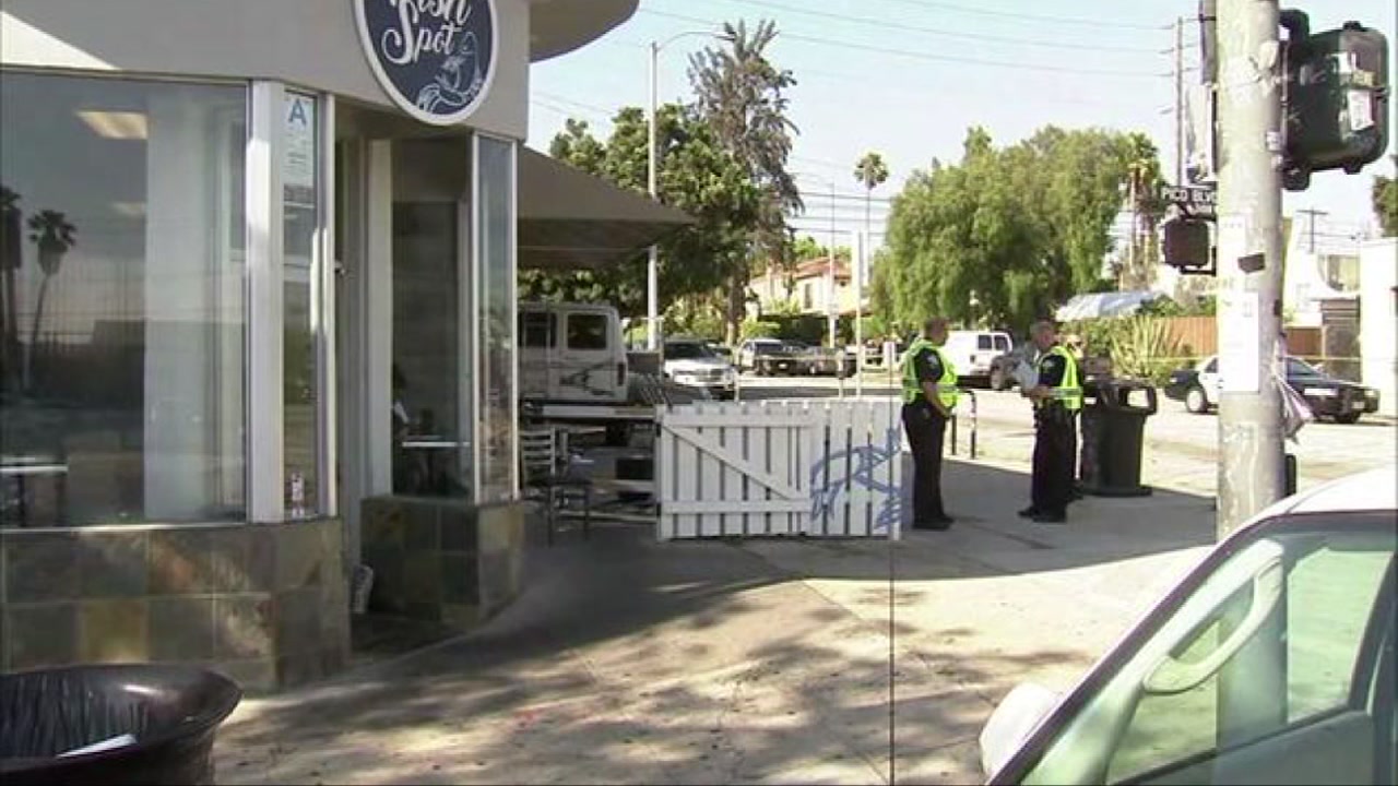 At least 9 injured after car plows into crowd in Los Angeles