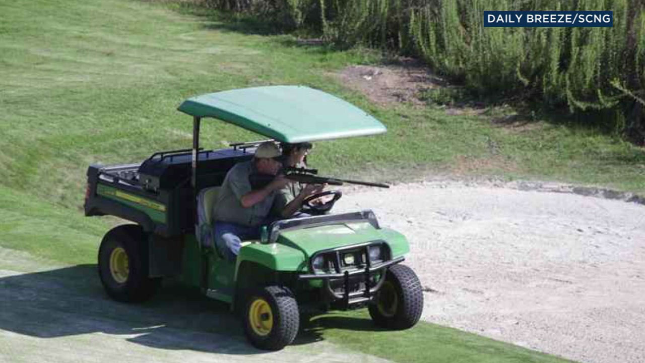 Photos show Trump golf course groundskeepers pointing guns at gophers