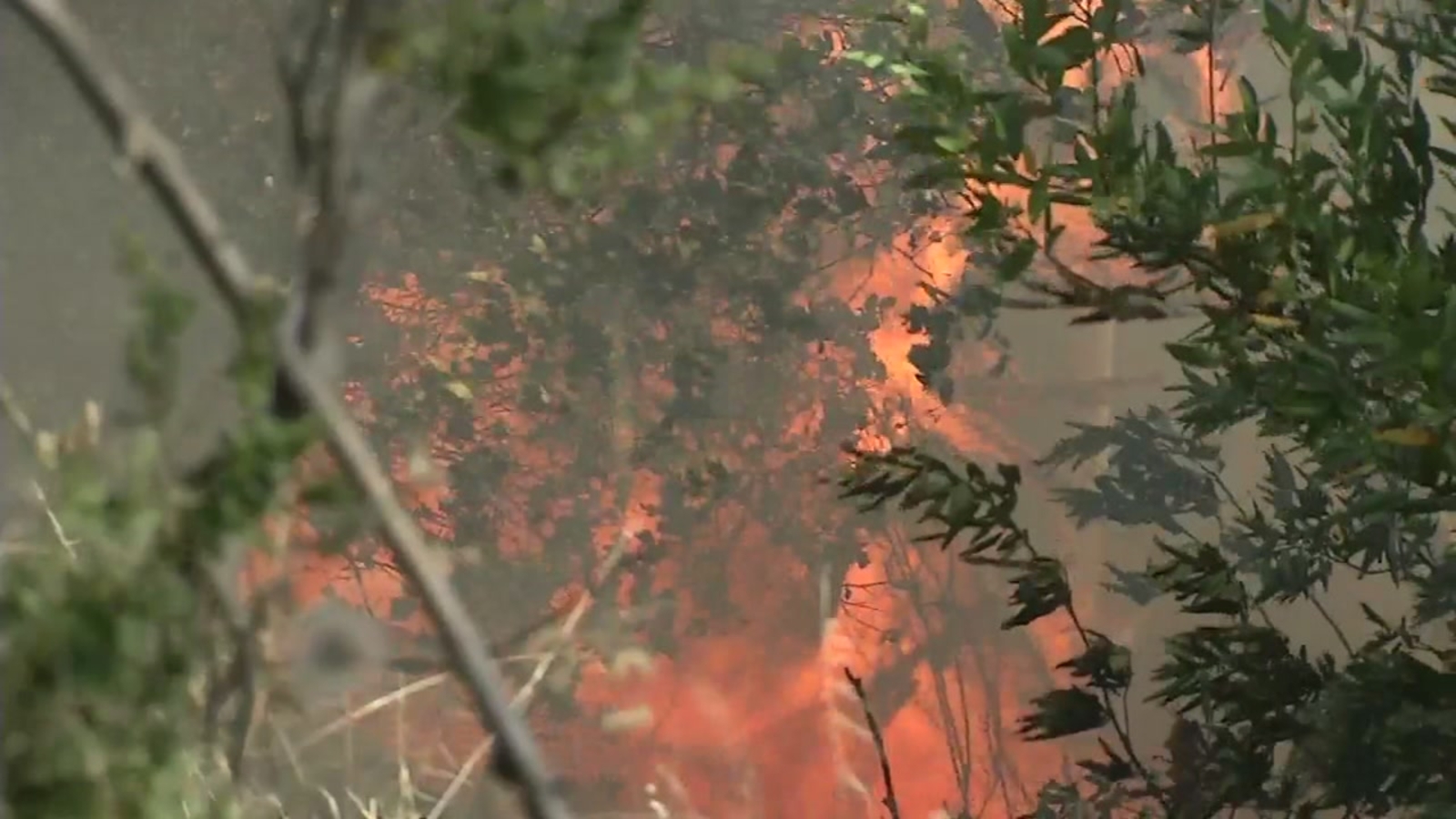 20 acre fire in East Bay Hills 50 percent contained, firefighter