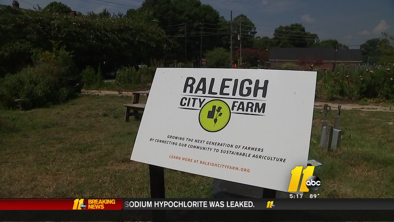 Raleigh City Farm needs your help to grow